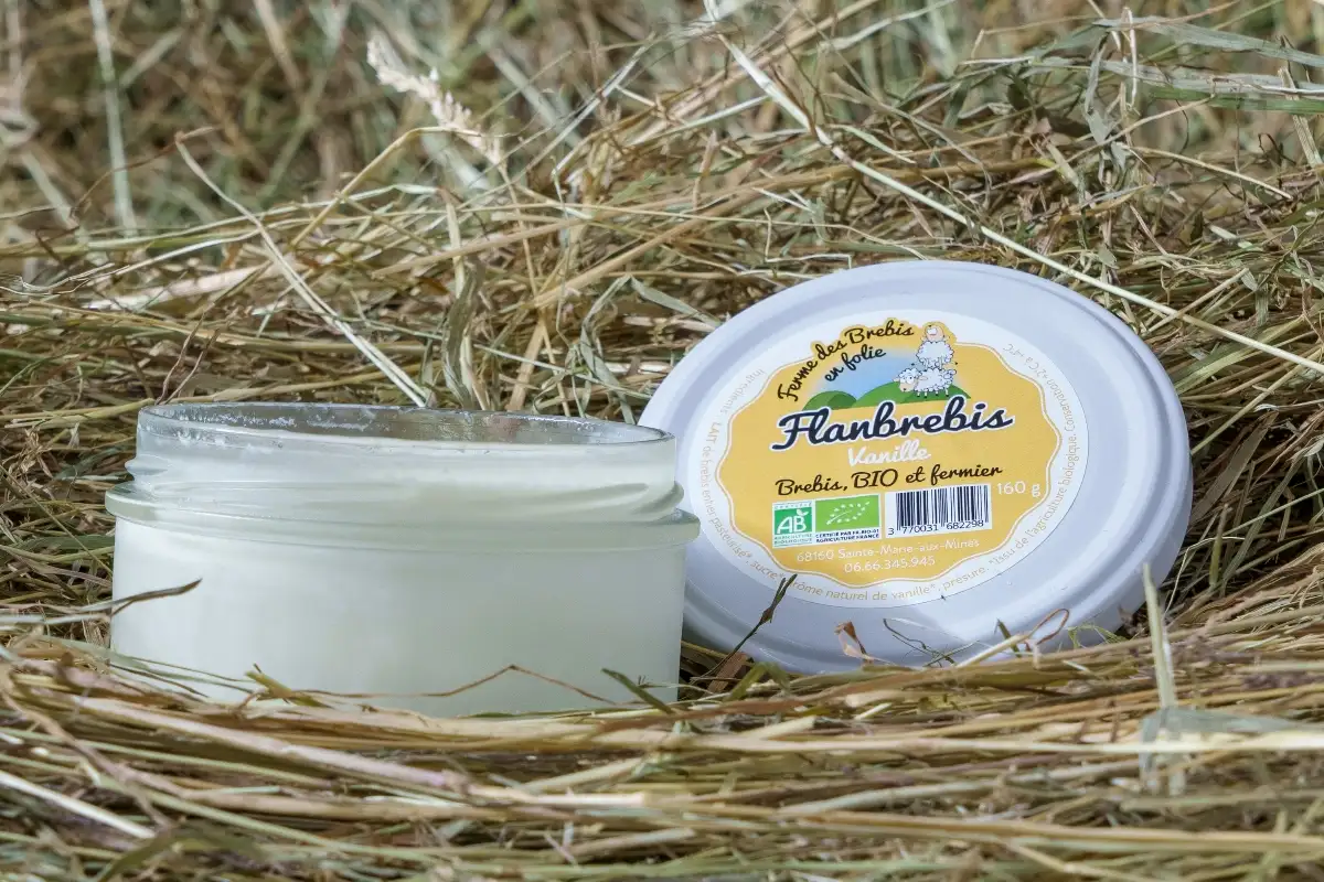 Flanbrebis vanille