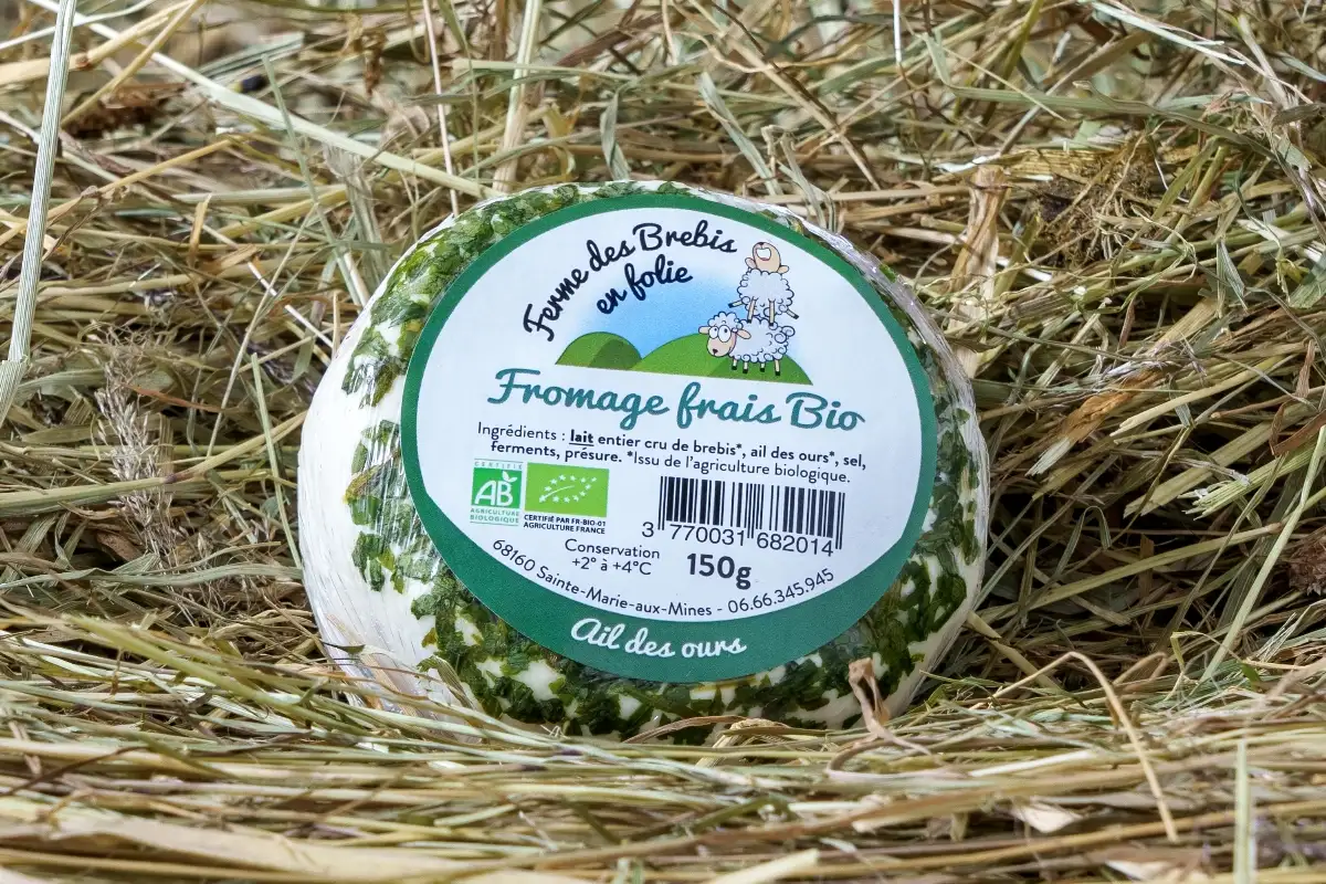 Fromage frais à l'ail des ours