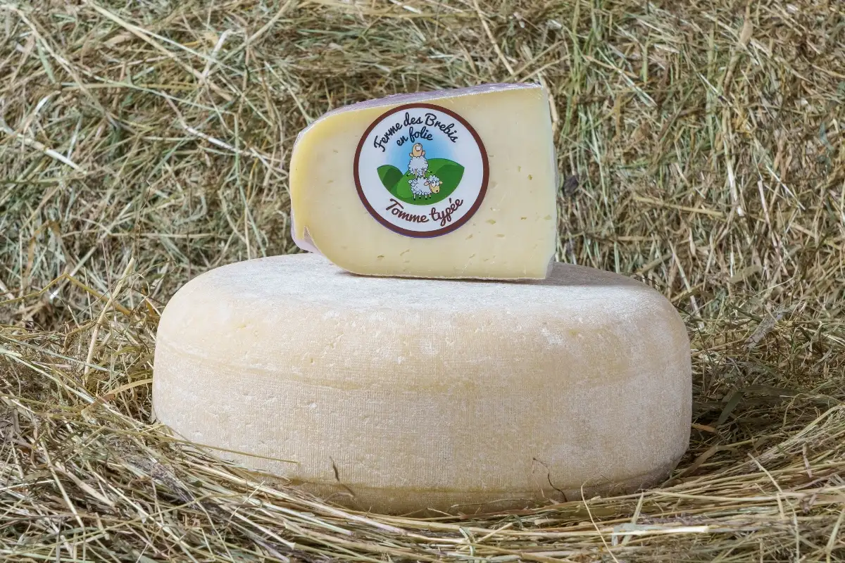 Tomme typée